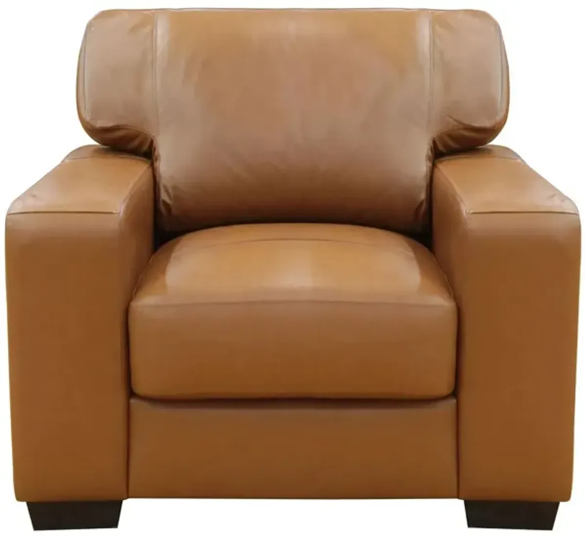 Bordeaux Leather Armchair