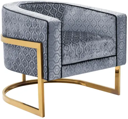 Diana Accent Chair in Gray by Aria Designs