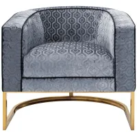 Diana Accent Chair in Gray by Aria Designs