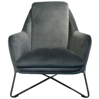 Romeo Accent Chair in Dark Grey Velvet by LH Imports Ltd