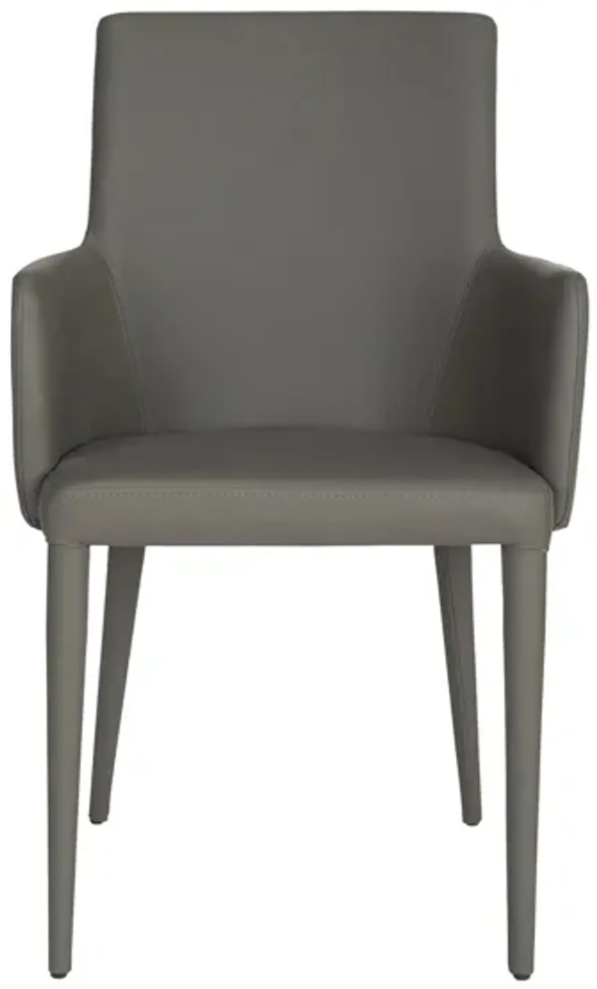 Pierre Arm Chair in Gray by Safavieh