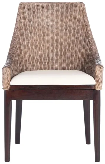 Arizona Rattan Sloping Chair in Brown by Safavieh