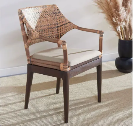 Honor Arm Chair in Brown by Safavieh