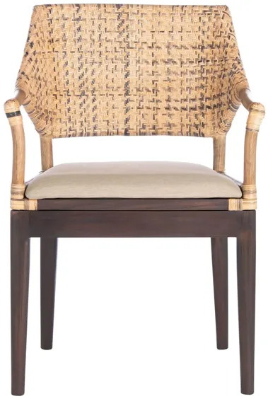 Honor Arm Chair in Brown by Safavieh