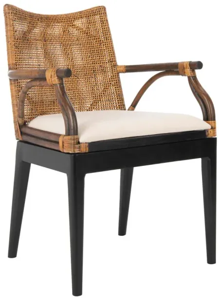 Johan Arm Chair in Brown/Black Legs/White Cushion by Safavieh