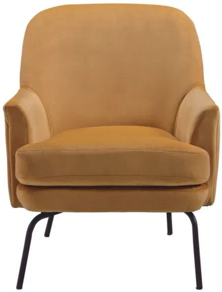 Dericka Accent Chair in Gold by Ashley Express