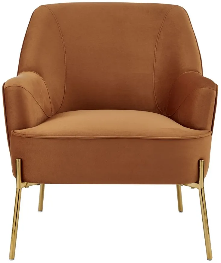 Arianna Accent Chair in Alamo Terracotta by New Pacific Direct