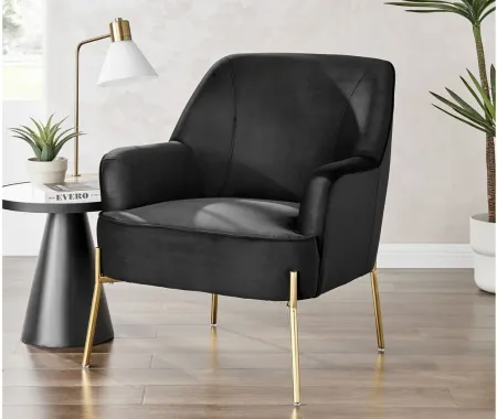 Arianna Accent Chair in Alamo Black by New Pacific Direct