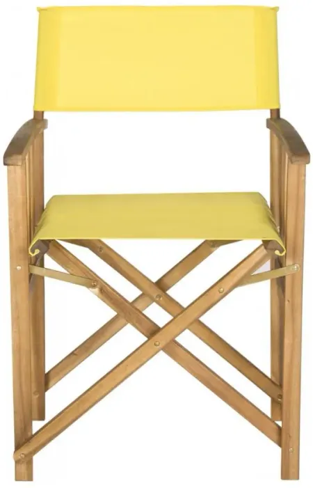 Laguna Outdoor Director Chair: Set of 2 in Yellow by Safavieh