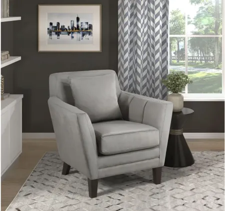 Shawnee Accent Chair in Gray by Homelegance