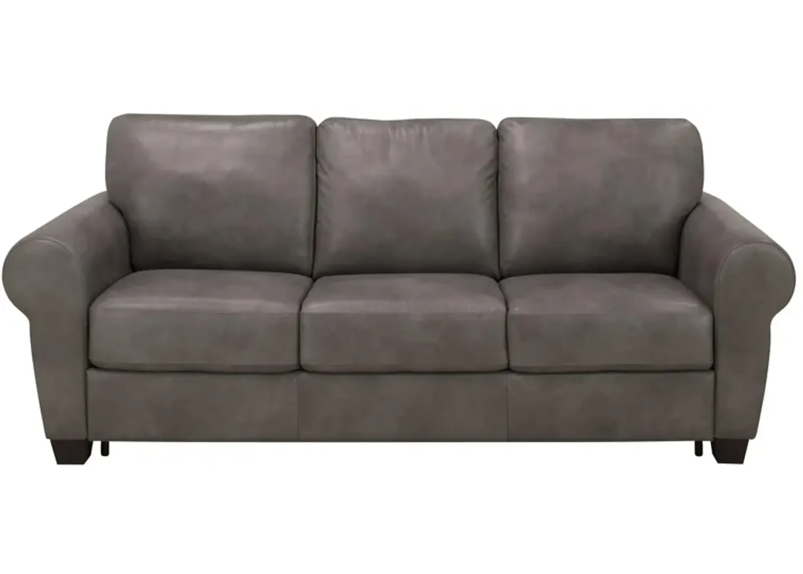 Calabria Leather Queen Sleeper in Gray by Bellanest