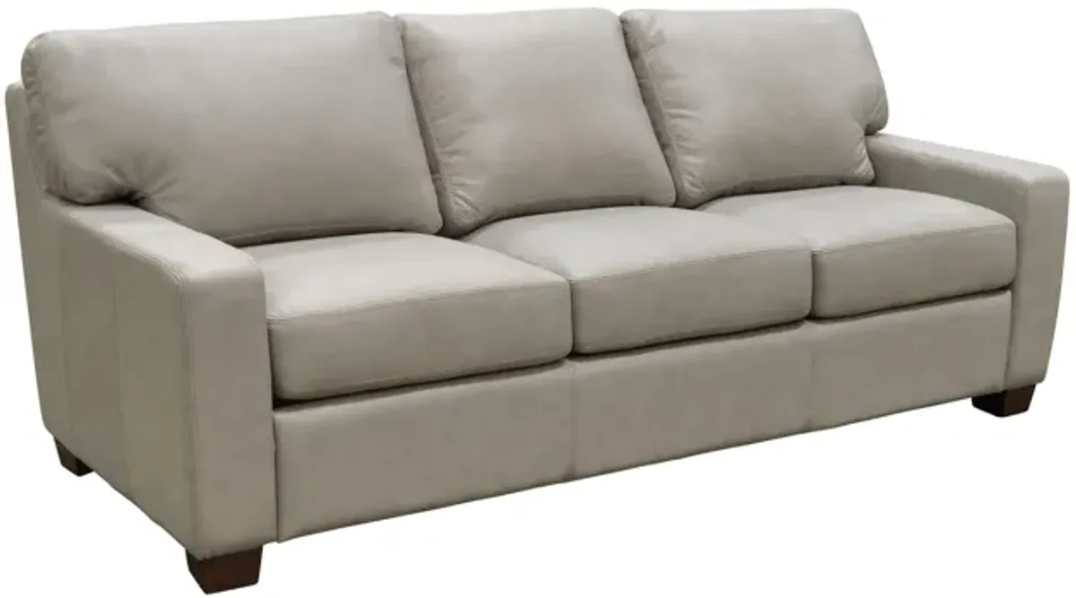 Albany Sofa Sleeper