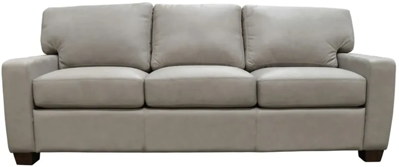 Albany Sofa Sleeper