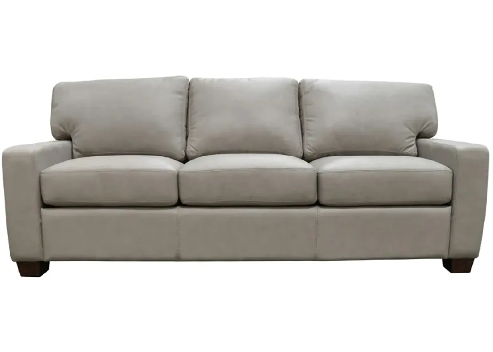 Albany Sofa Sleeper in Urban Arctic by Omnia Leather