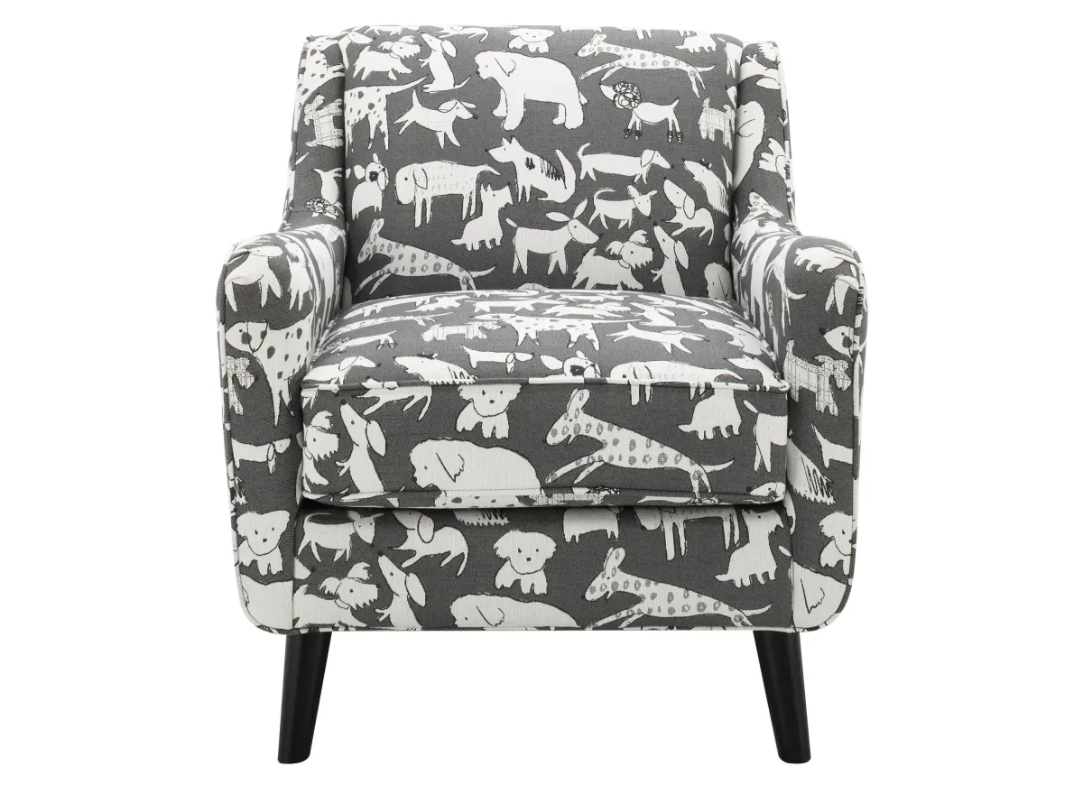 Daine Accent Chair in Doggie Graphite by Fusion Furniture