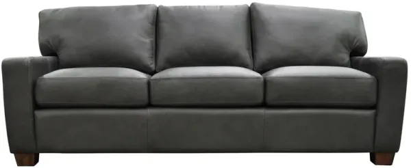 Albany Sofa Sleeper