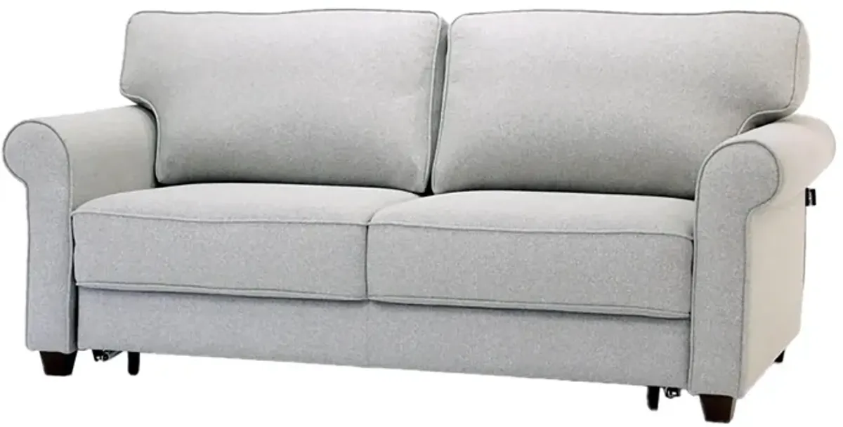 Casey Queen Loveseat Sleeper