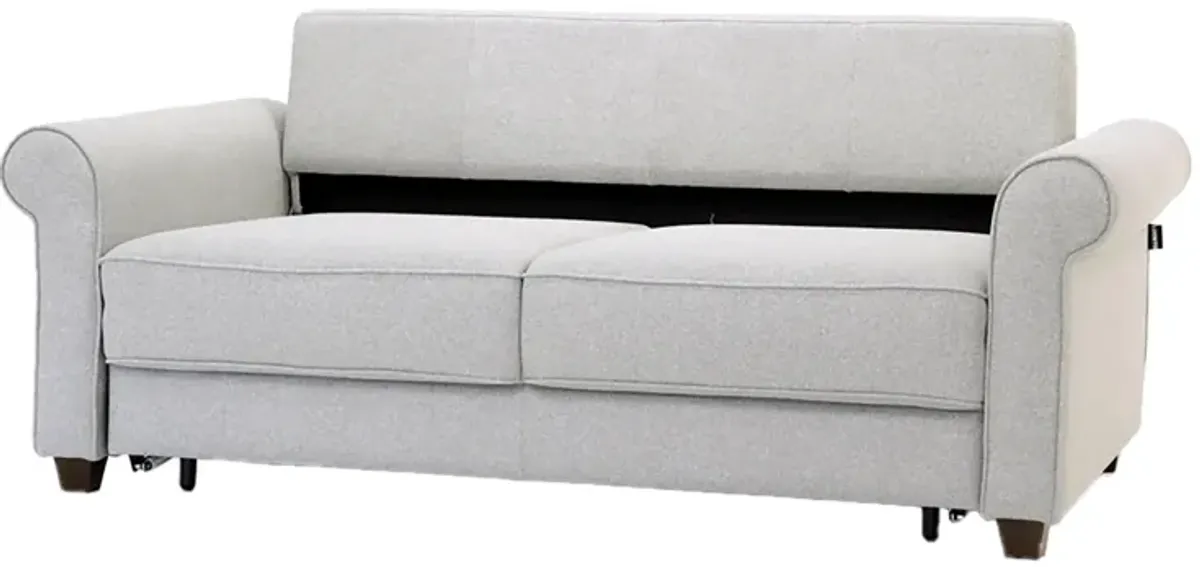 Casey Queen Loveseat Sleeper