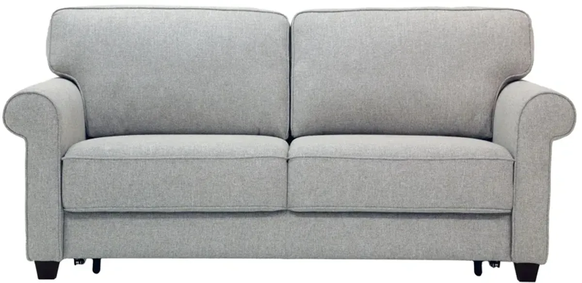 Casey Queen Loveseat Sleeper