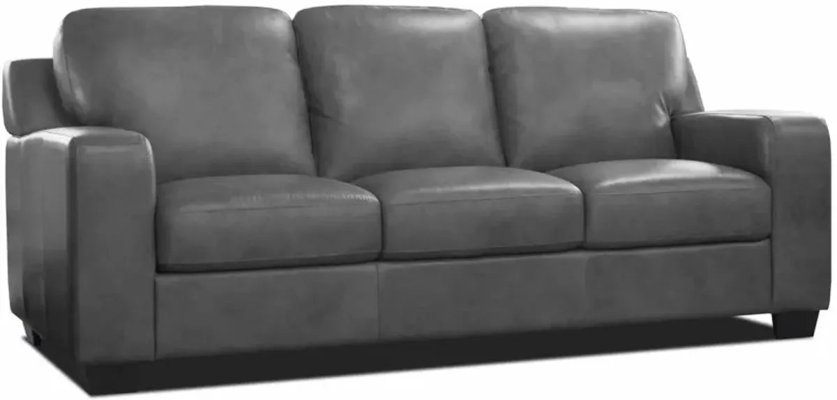 Bari Leather Queen Sleeper