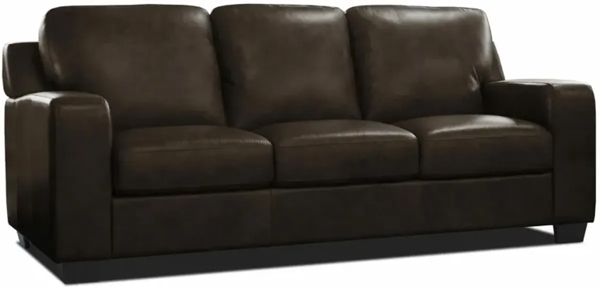 Bari Leather Queen Sleeper