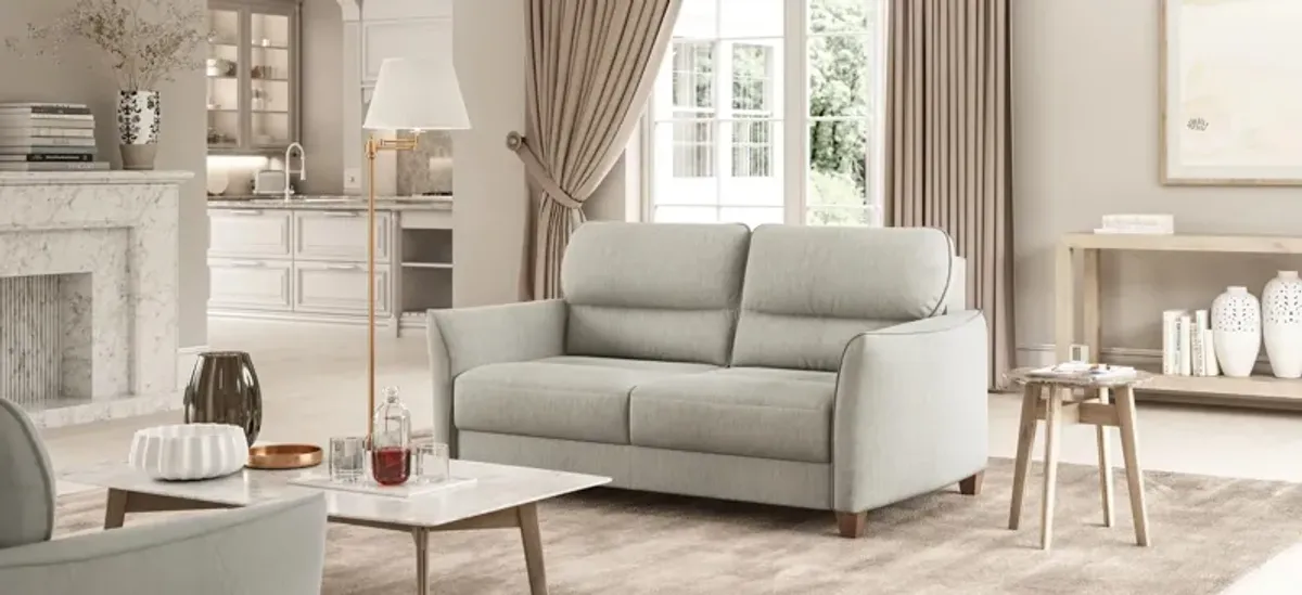 Harold Queen Loveseat Sleeper