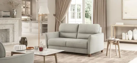 Harold Queen Loveseat Sleeper in Oliver 173 by Luonto Furniture