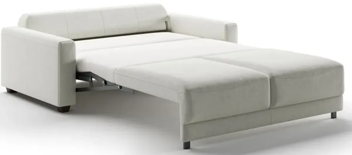 Belton Queen Loveseat Sleeper