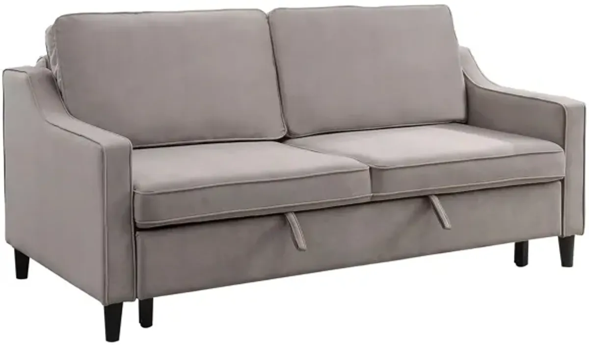 Dickinson Convertible Sofa