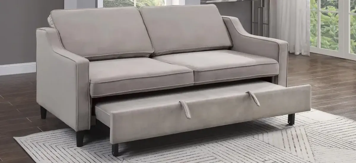 Dickinson Convertible Sofa