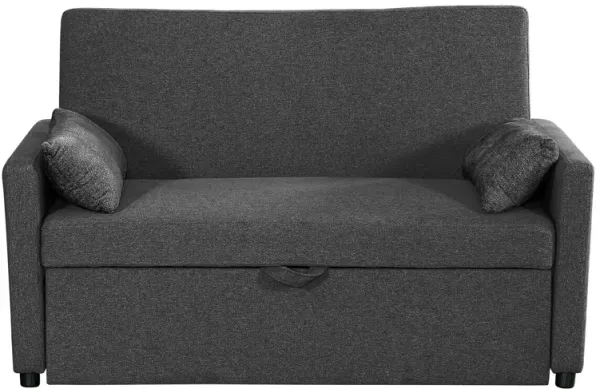 Taite Sleeper Sofa