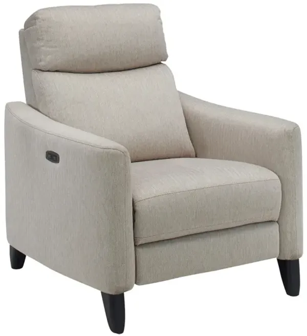 Adrienne Power Recliner