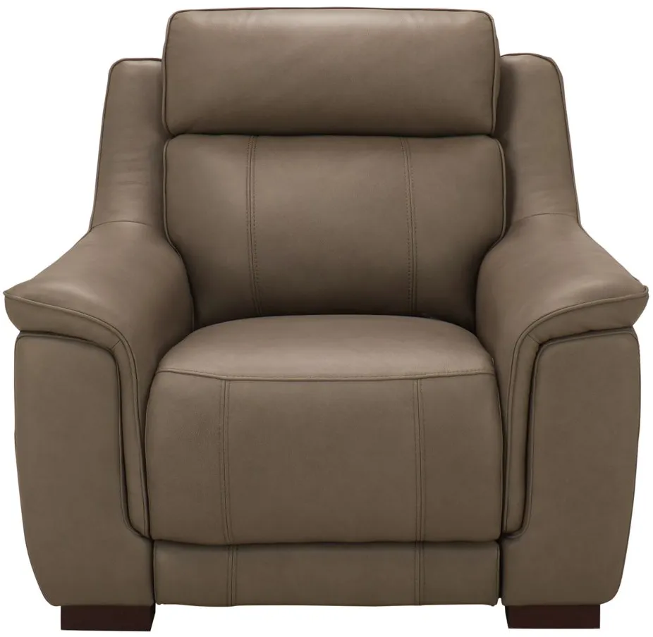 Griffith Power Recliner w/ Power Headrest in Brown by Bellanest