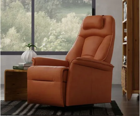 Stockholm Small Recliner in AL Whiskey by Fjords USA