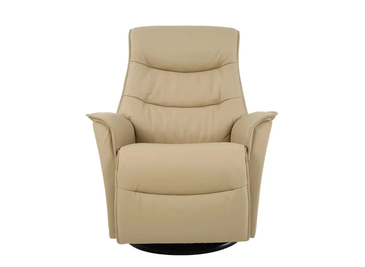 Dallas Large Recliner in SL Latte by Fjords USA