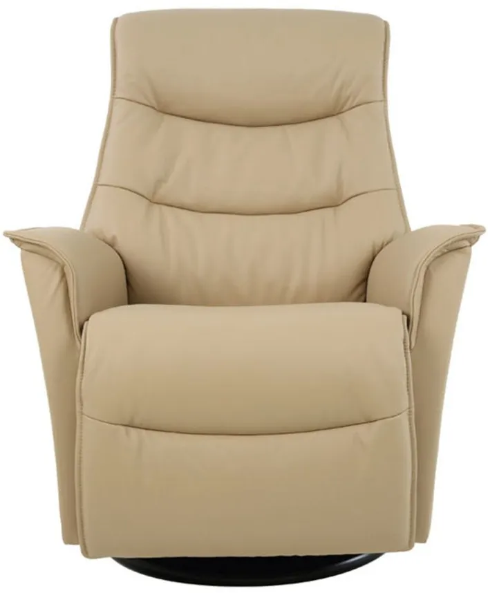 Dallas Large Recliner in SL Latte by Fjords USA