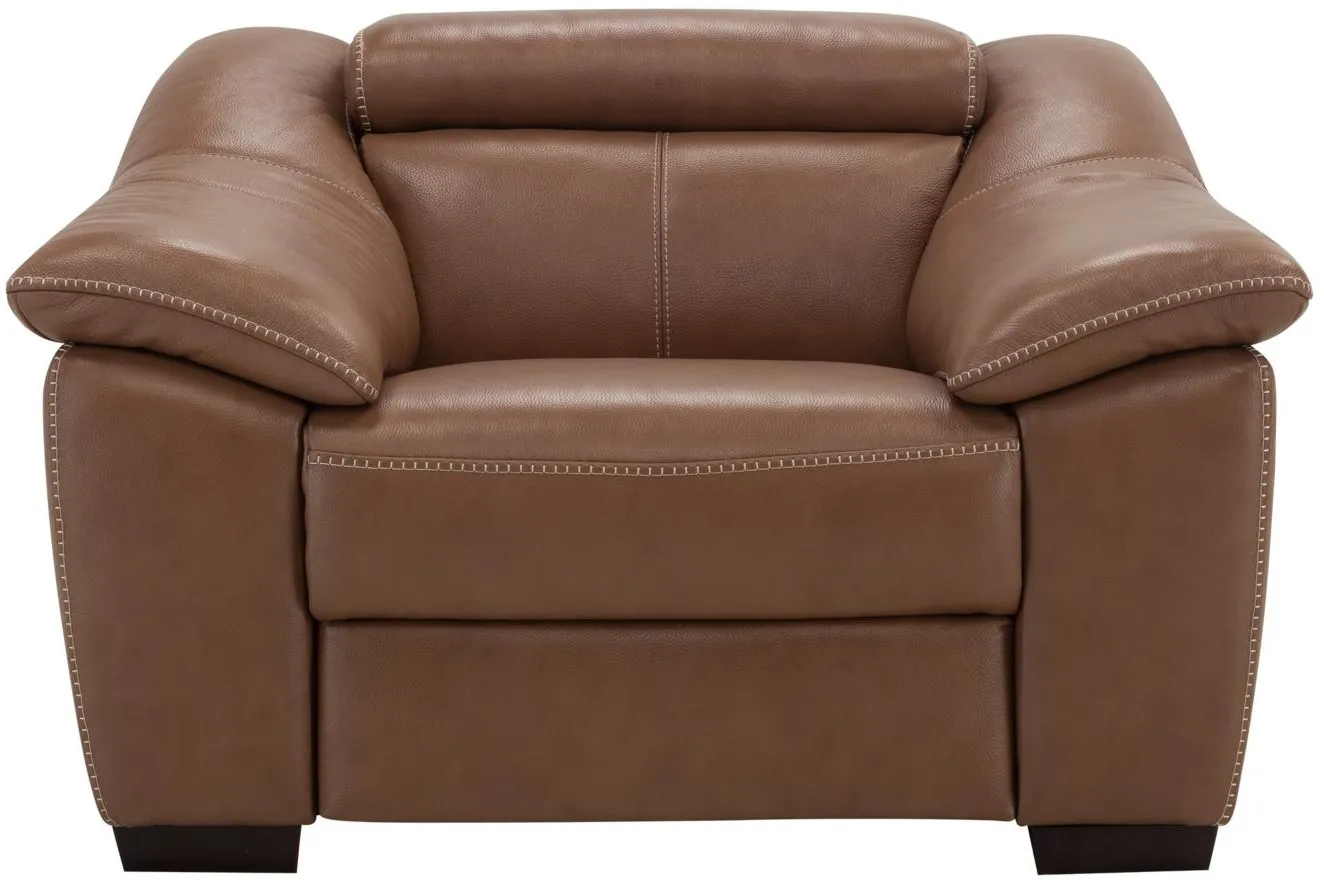 Daxton Power Recliner w Power Headrest in Cognac by Natuzzi Editions by Raymour Flanigan Furniture