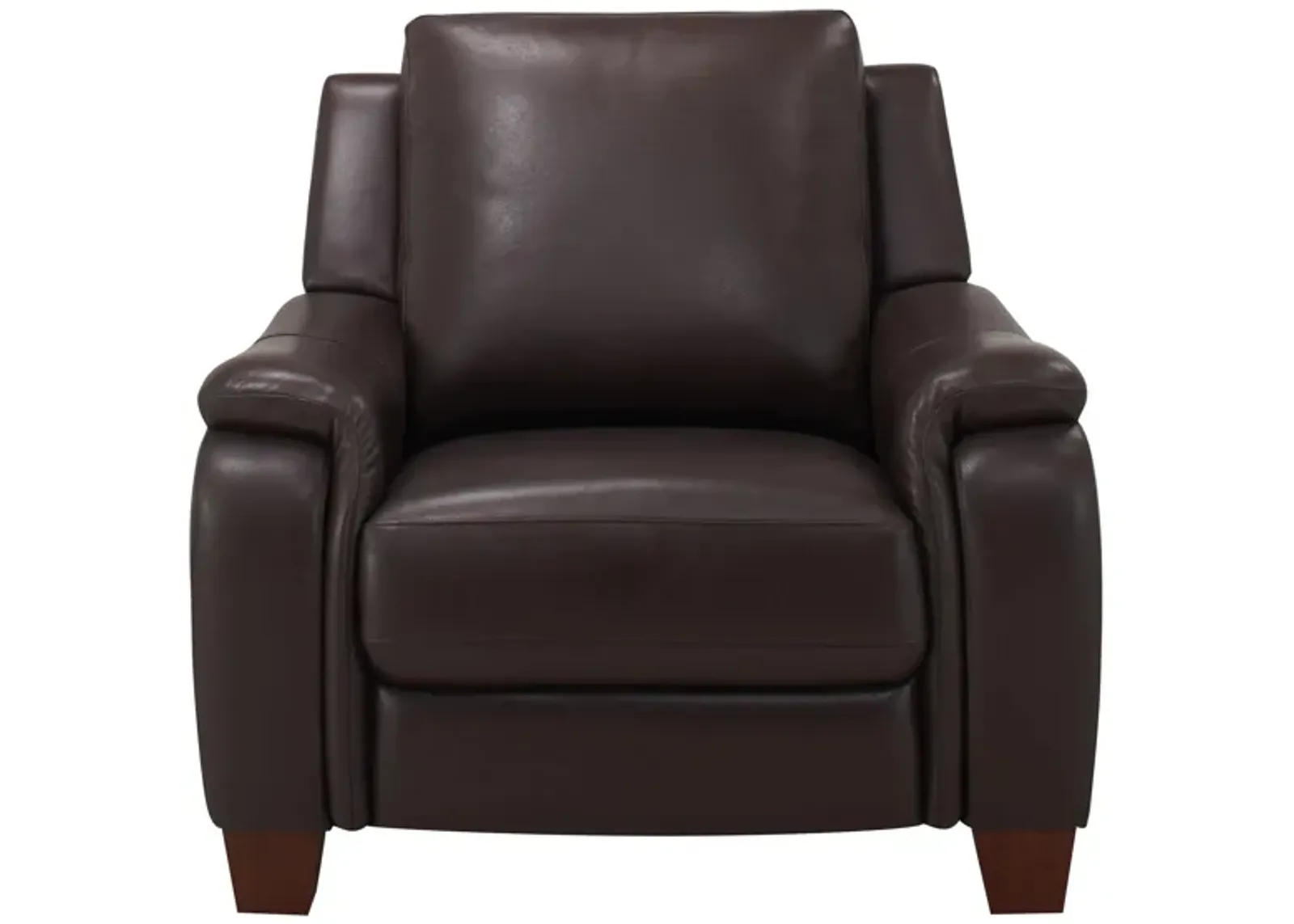 Ramiro Leather Power Recliner