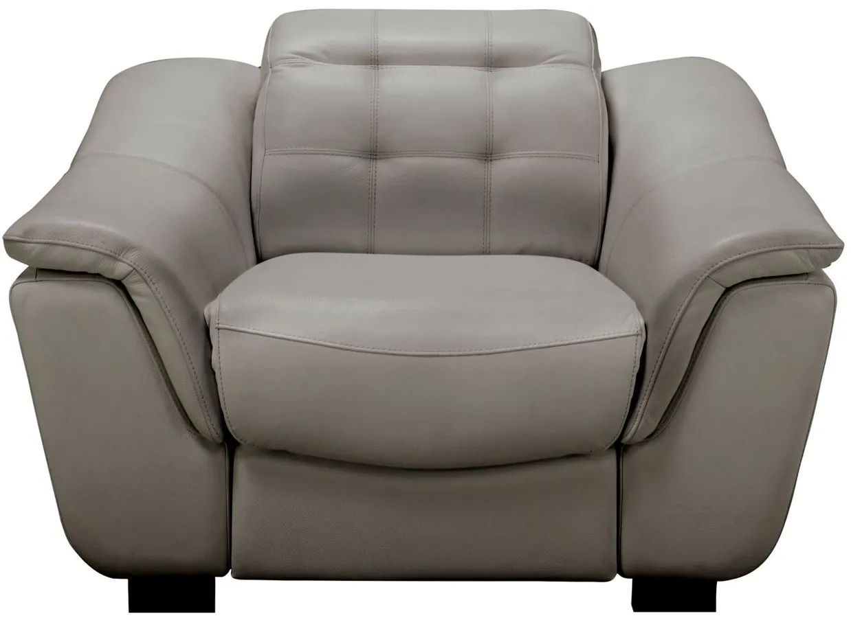 Cadori Leather Power Recliner w/ Power Headrest in Gray by Chateau D'Ax
