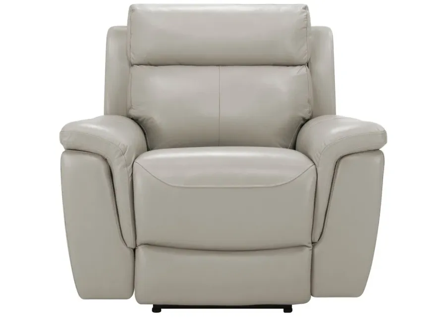 Dryden Leather Power Recliner w/ Power Headrest in Gray by Bellanest