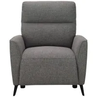 Delilah Accent Power Recliner w/Power Headrest in Gray by Bellanest