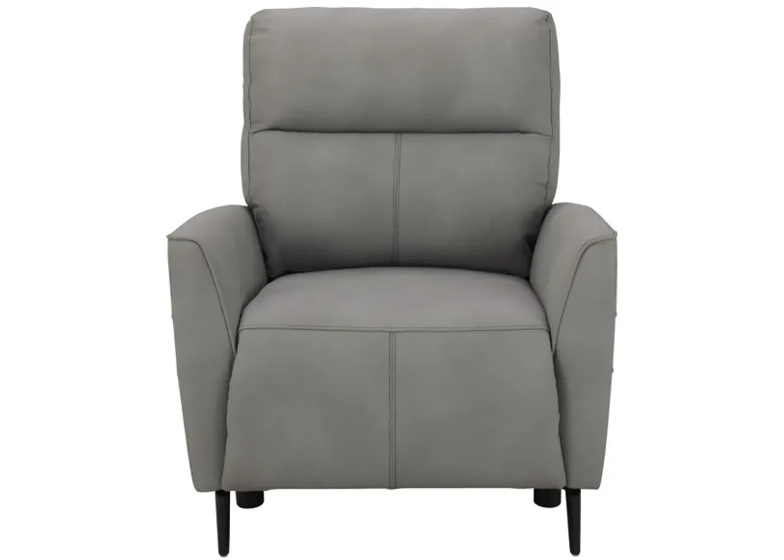 Delilah Power Recliner w/Power Headrest in Gray by Bellanest