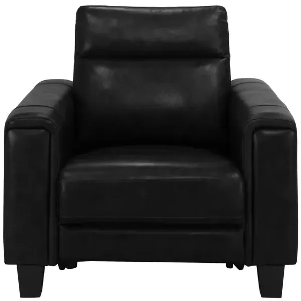 Ace Power Recliner w/ Power Headrest