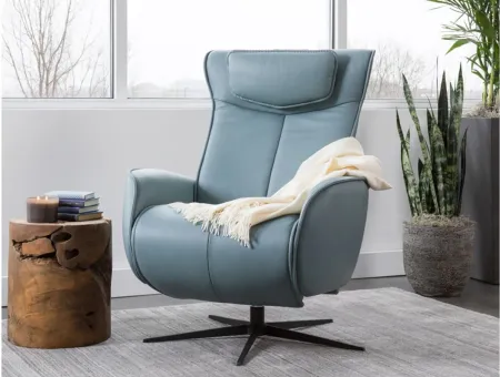 Axel Small Recliner in SL Ice with Black Star Base by Fjords USA