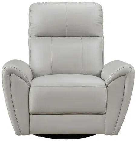 Franklin Swivel Glider Chair in Gray by Homelegance