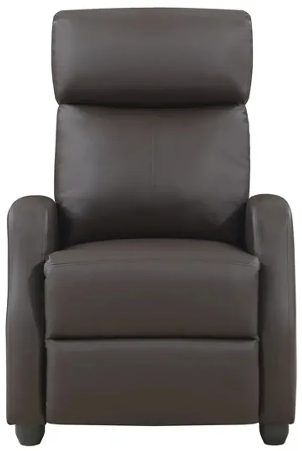 Driggs Recliner