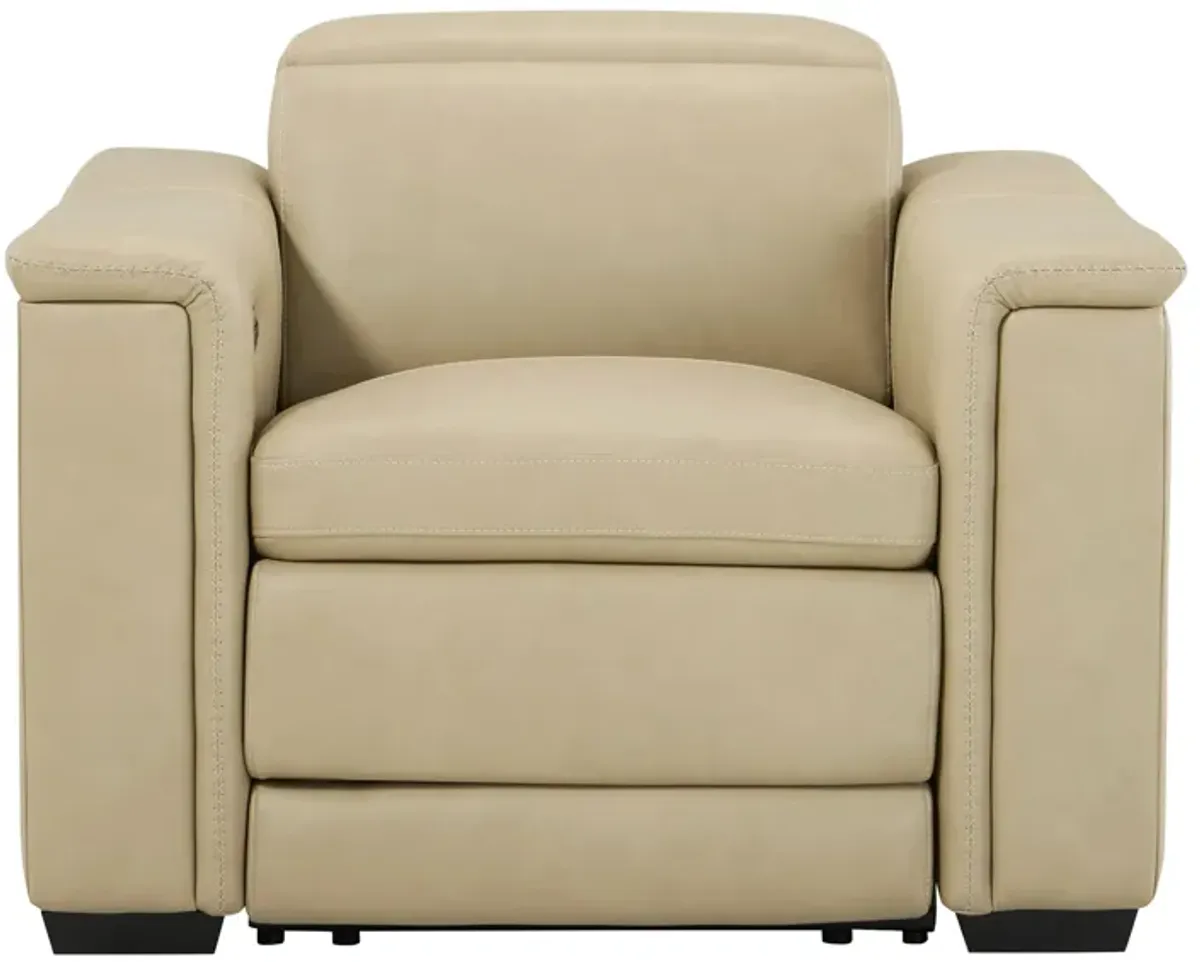 Finnegan Power Recliner w/ Power Headrest