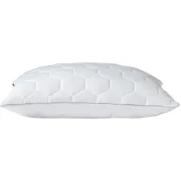 Elevated Performance by Sheex Standard Back Sleeper Pillow in White by Sheex Inc
