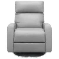 Elliot Power Recliner in Bison Ash by American Leather
