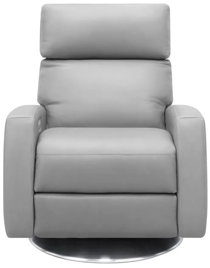 Elliot Power Recliner in Bison Ash by American Leather